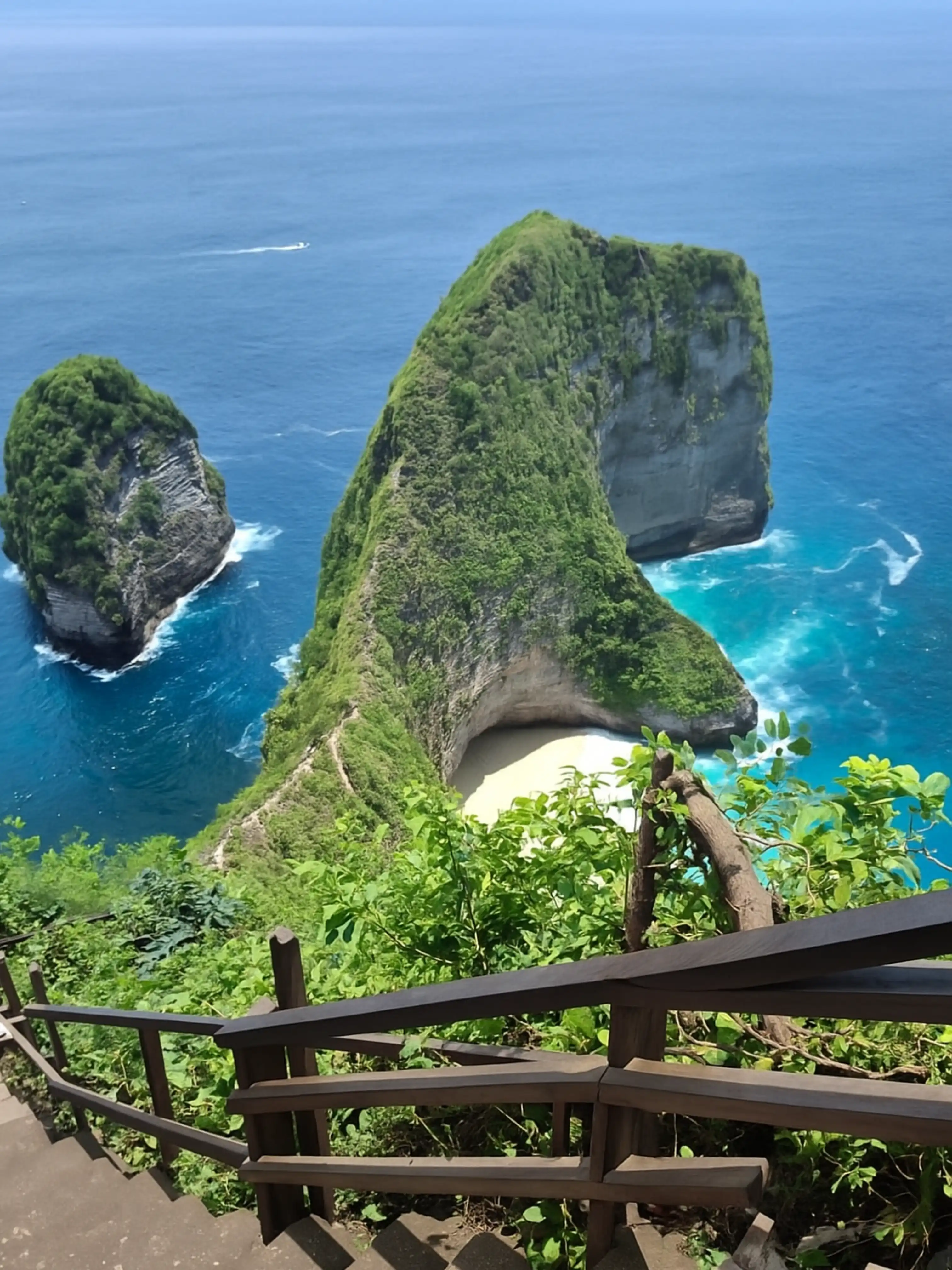 nusa penida kelingking beach private tour fullday tour